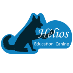Hélios Education Canine