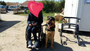 Accompagnement de personne handicapée en médiation animale en Vendée sur le site du Poney Club de la Vie au Poiré sur Vie